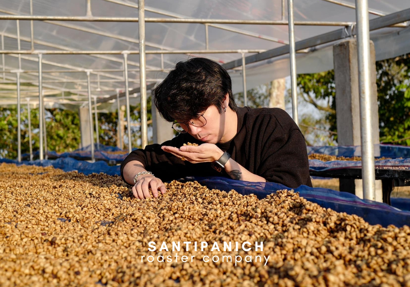 , ฉีกมุมมอง​ใหม่ที่ไม่ใช่แค่  Latte art​ ของพี่ตี๋ Rosetta