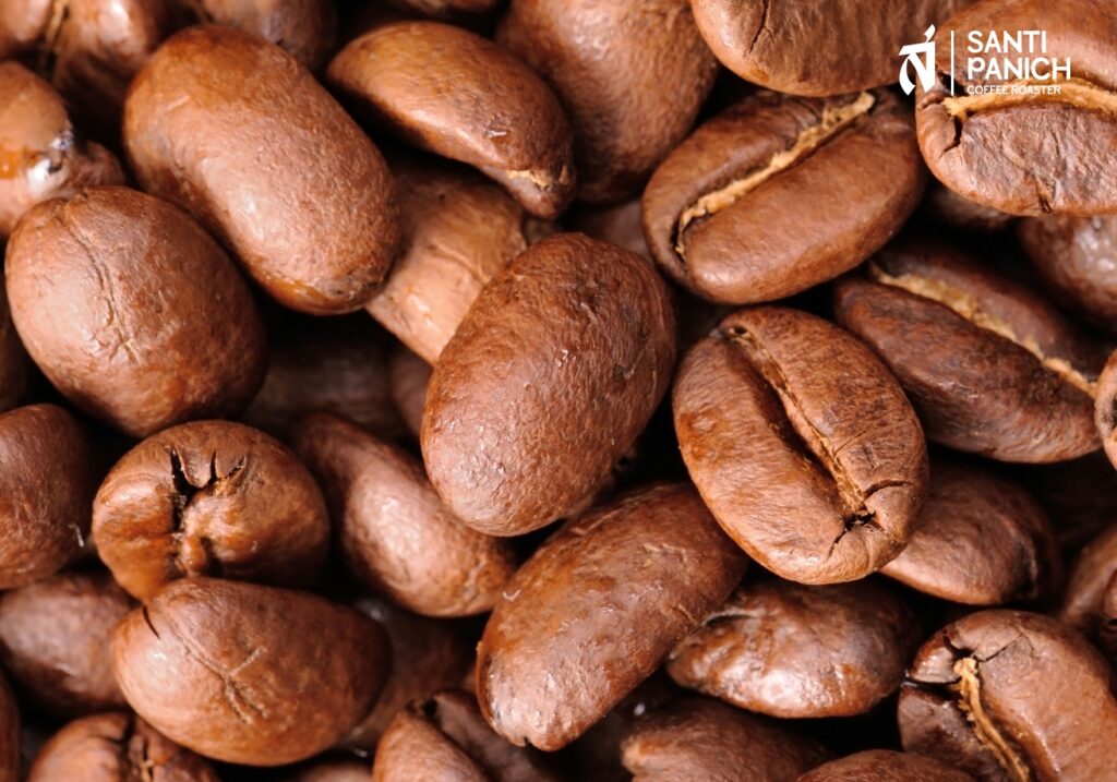, เคล็ดลับการเลือกชนิดเมล็ดกาแฟให้เหมาะกับเมนูกาแฟแก้วโปรด