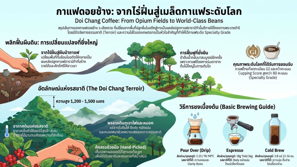 กาแฟดอยช้าง เชียงราย, กาแฟดอยช้าง เชียงราย &mdash; จากไร่ฝิ่นสู่กาแฟระดับโลก